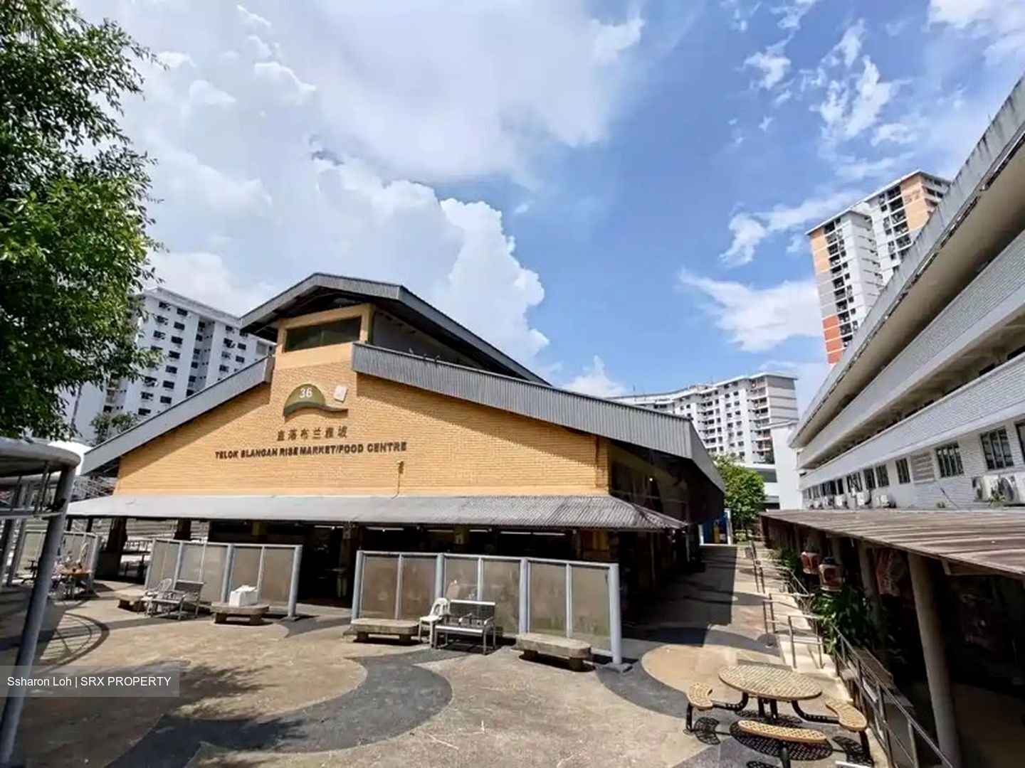 Telok Blangah Rise (D4), Shop House #599202881